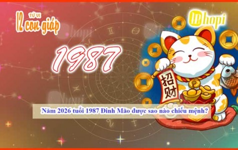 Which Star Governs the 1987 Ding Mao Zodiac in 2026?