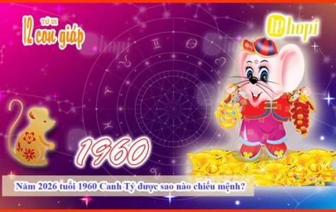 Which Star Illuminates the 1960 Metal Rat in 2026?