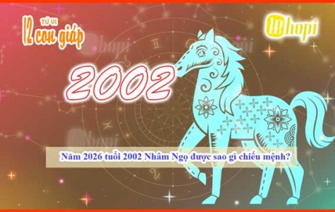 2026 Horoscope for 2002 Water Horse: Ruling Stars and...