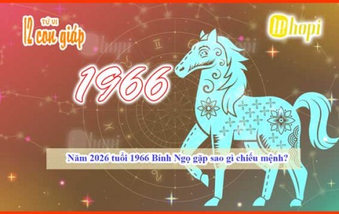 2026 Horoscope: What Star Governs the 1966 Fire Horse?
