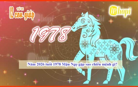 What Ruling Star Will the 1978 Earth Horse Encounter in 2026?