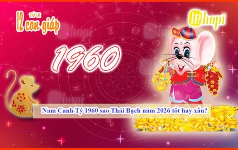Male Canh Ty 1960: Is Thai Bach Star in 2026 Good or...