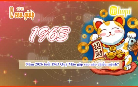 Which Destiny Star Illuminates the 1963 Water Rabbit in 2026?