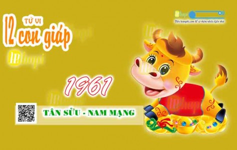 Tử Vi 12 Tháng Năm Ất Tỵ 2025 Cho Tuổi Tân Sửu 1961 Nam Mạng