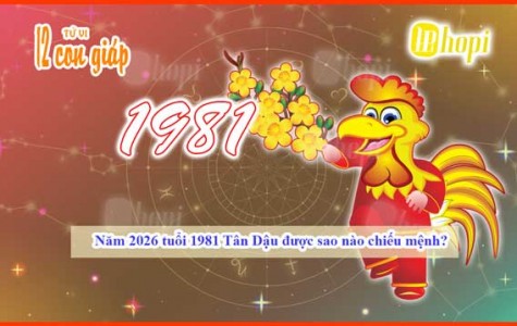 Which Star Rules the 1981 Tan Dau Zodiac in 2026?