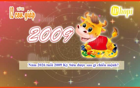2026 Horoscope for the 2009 Earth Ox: What Star is Shining?