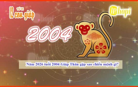 2004 Wood Monkey in 2026: What Ruling Star Will Influence You?