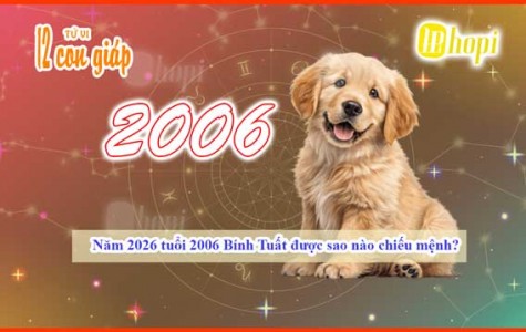 Which Star Governs the 2006 Fire Dog in 2026: A Complete...