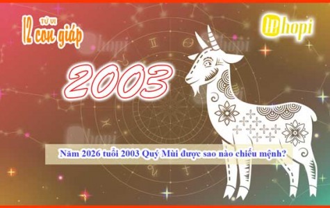 2026 Horoscope: Which Star Governs Those Born in 2003...