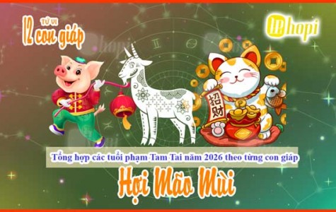 A Complete List of Zodiac Signs Affected by Tam Tai in 2026
