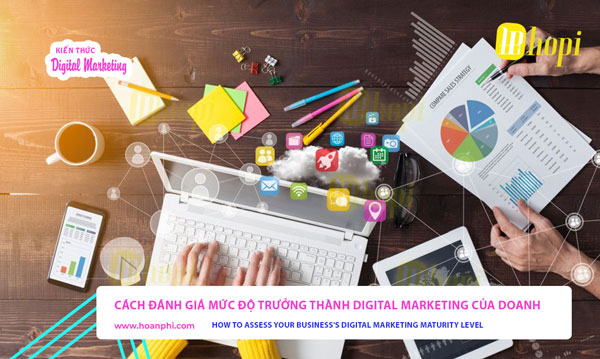 Assess Digital Marketing Maturity Level