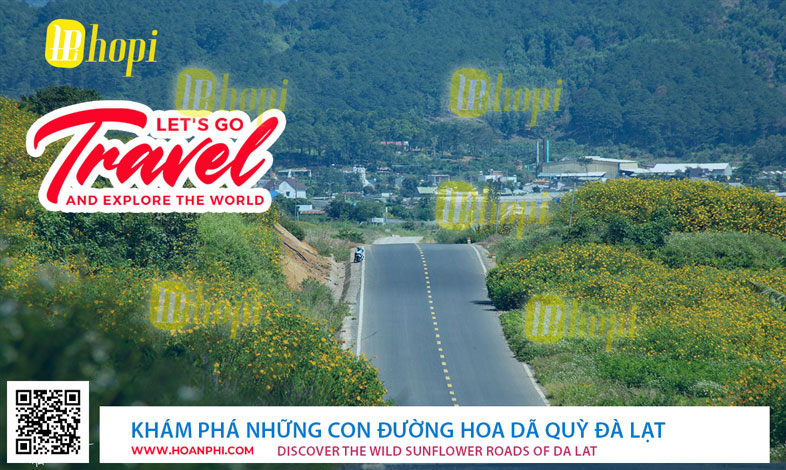 Hoa Dã Quỳ Đèo Prenn