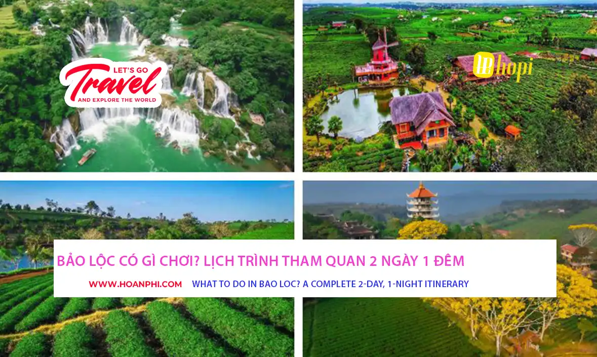 Khung cảnh đồi chè xanh mướt tại Bảo Lộc