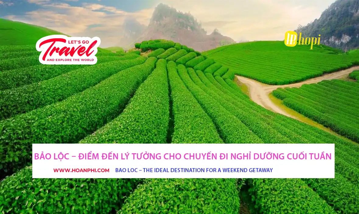 Lush green Bao Loc tea hills
