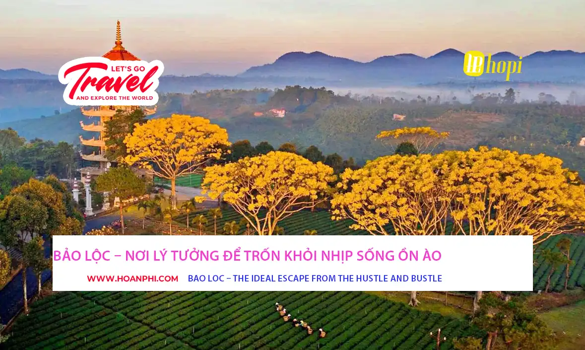 Đồi chè Bảo Lộc xanh mướt