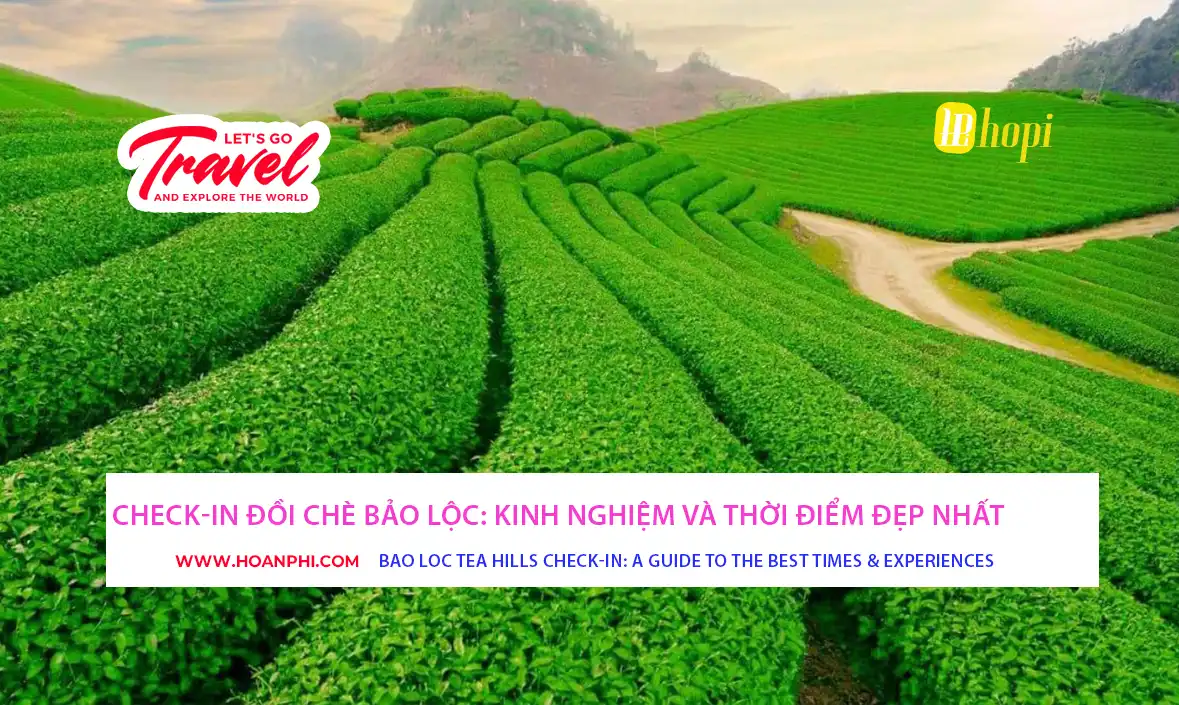 Đồi chè Bảo Lộc xanh mướt