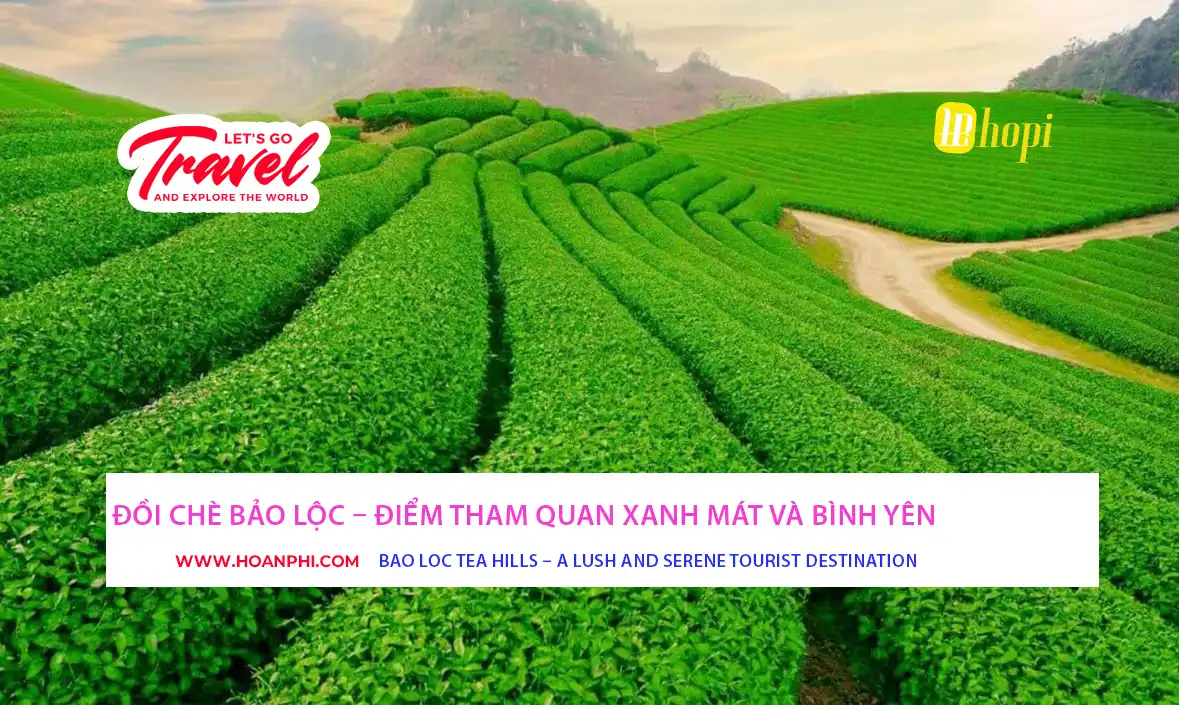 Đồi chè Bảo Lộc xanh mướt