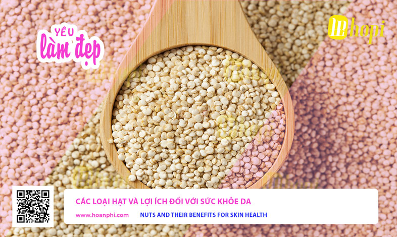 Các Loại Hạt Và Lợi Ích Đối Với Sức Khỏe Da