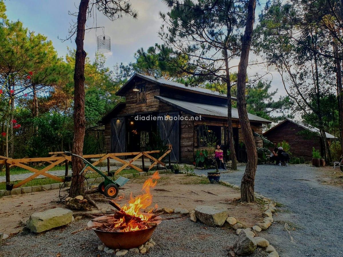 Review Quán Cafe Nhà Gỗ Trong Rừng Bảo Lộc Lâm Đồng