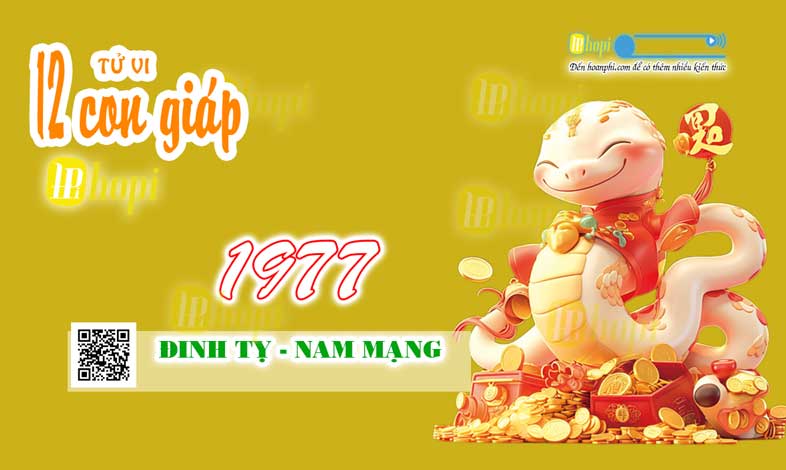 Tử Vi Tuổi Đinh Tỵ 1977 Nam Mạng năm Ất Tỵ 2025