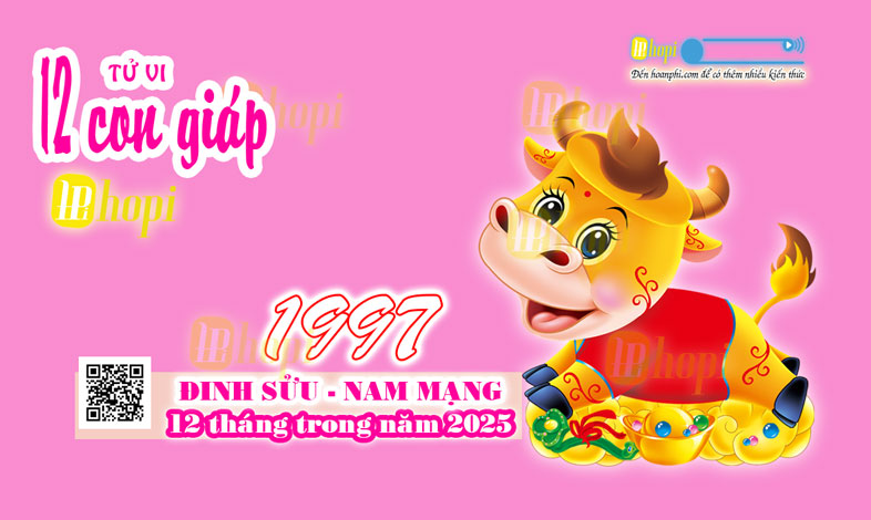 Tử Vi 12 Tháng Tuổi Đinh Sửu 1997 Nam Mạng Năm Ất Tỵ 2025 