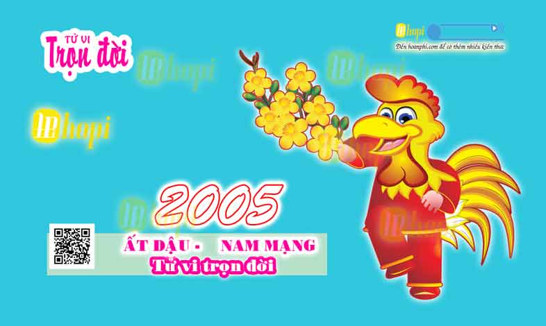 Tử Vi Trọn Đời Tuổi Ất Dậu Nam Mạng Năm 2005