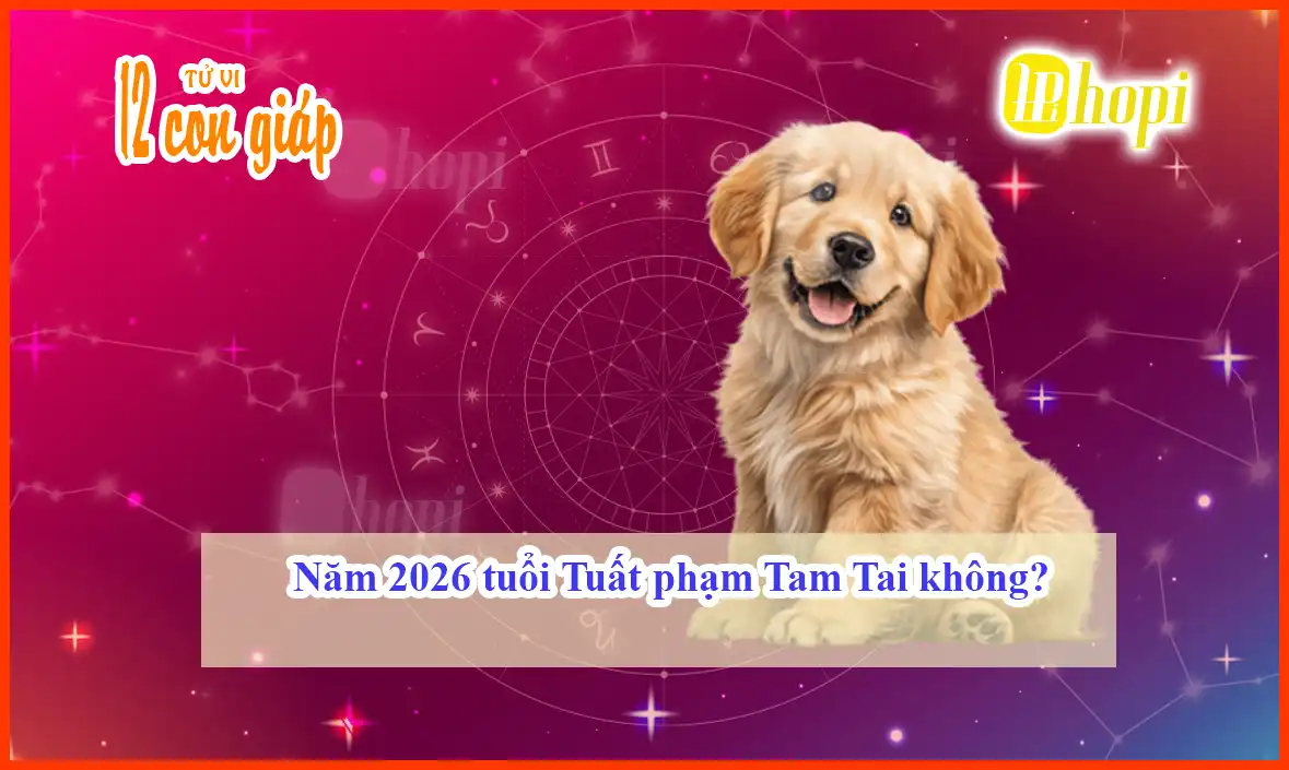 Năm 2026 tuổi Tuất phạm Tam Tai không?