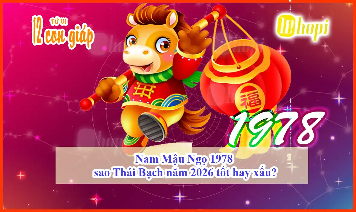 1978 Male Mậu Ngọ Thái Bạch Star in 2026