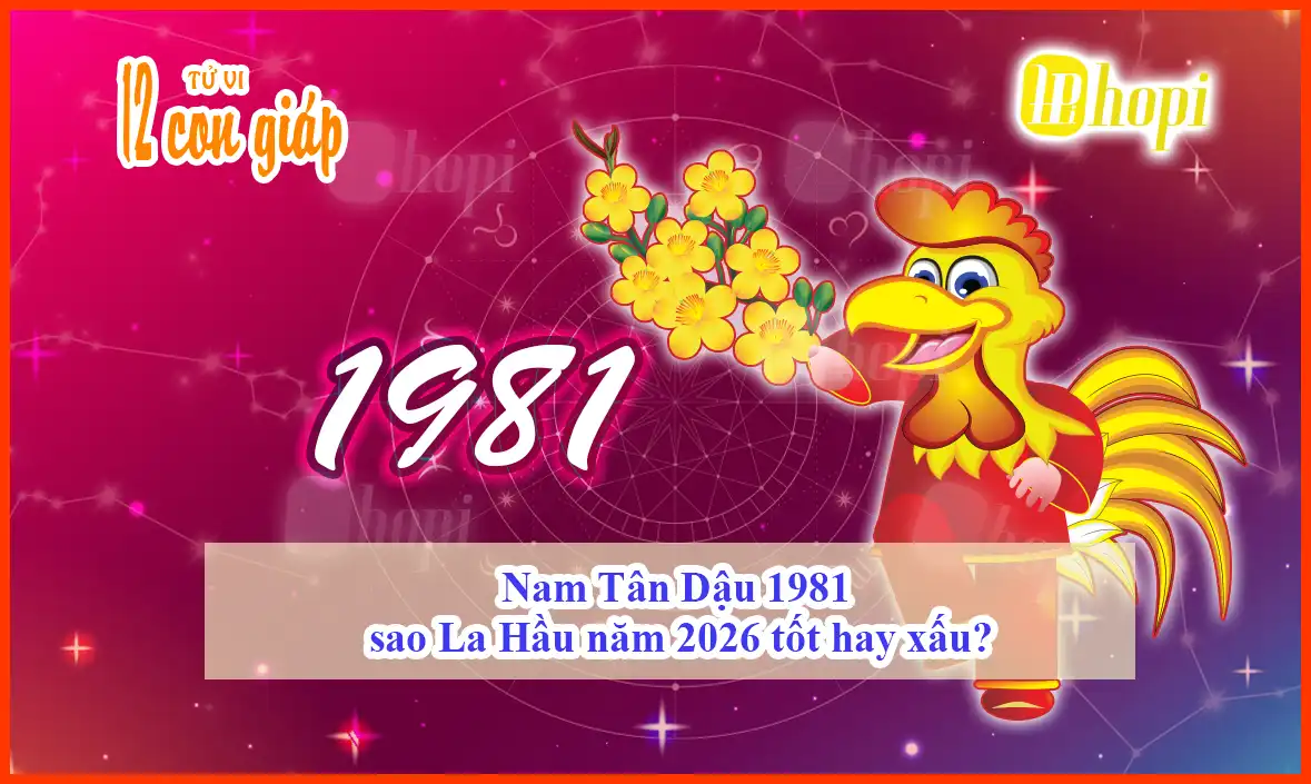 Nam Tân Dậu 1981 sao La Hầu năm 2026