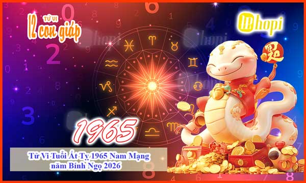 Tử Vi Tuổi Ất Tỵ 1965 Nam Mạng Năm Bính Ngọ 2026