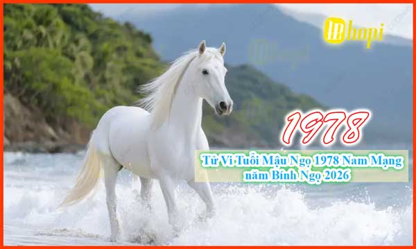 Tử vi tuổi Mậu Ngọ 1978 nam mạng năm Bính Ngọ 2026