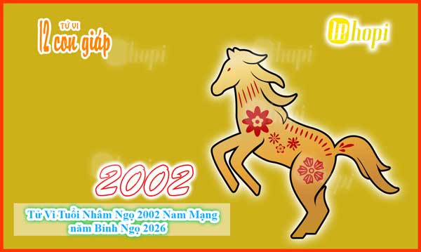 Tử Vi Tuổi Nhâm Ngọ 2002 Nam Mạng năm Bính Ngọ 2026: Vận Hạn và Cơ Hội