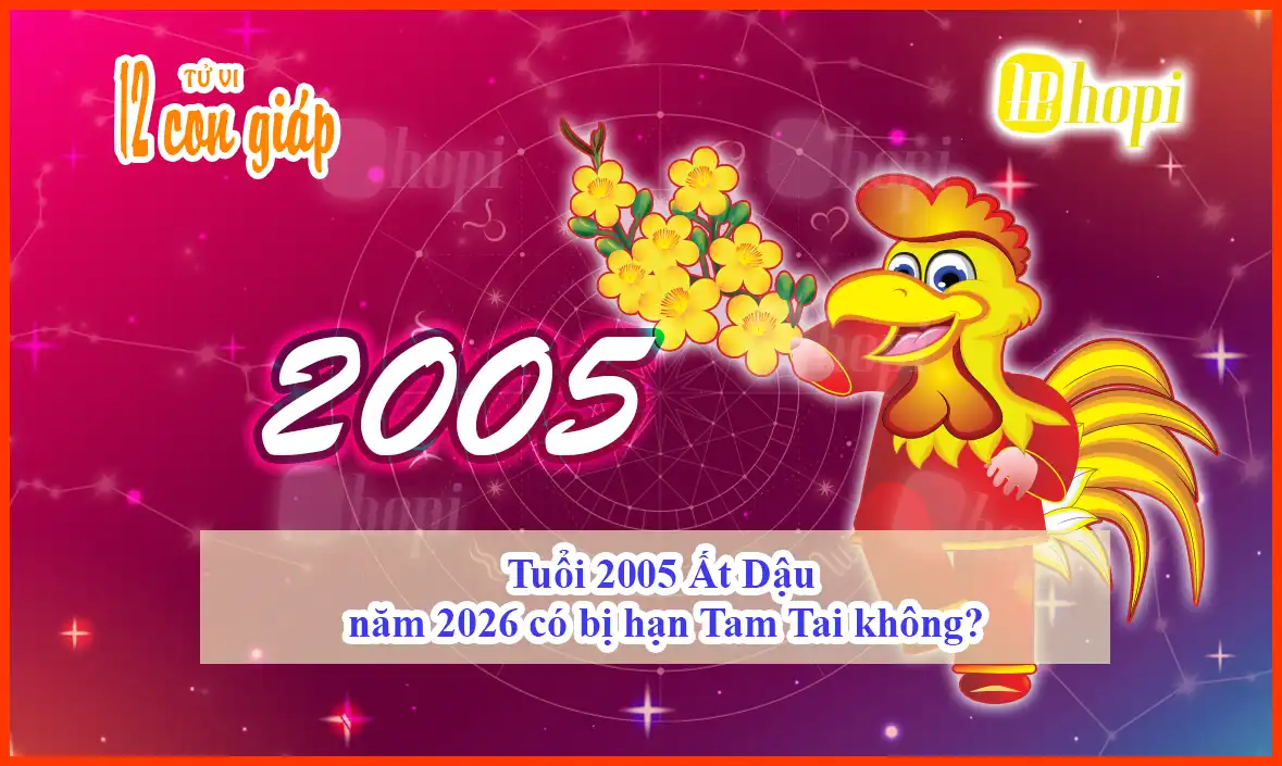 Tuổi 2005 Ất Dậu năm 2026 có bị hạn Tam Tai không?