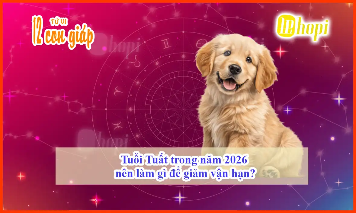 Tuổi Tuất trong năm 2026 nên làm gì để giảm vận hạn?